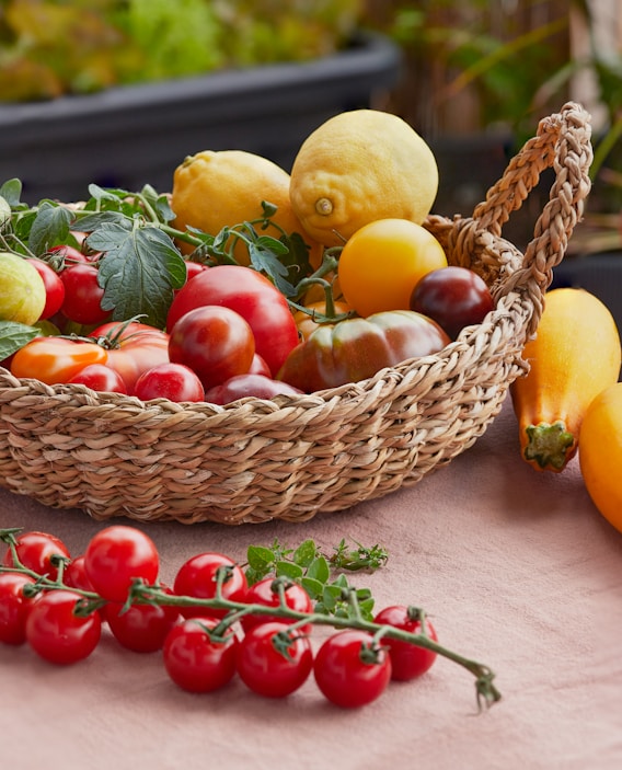 Przechowalnia owoców i warzyw